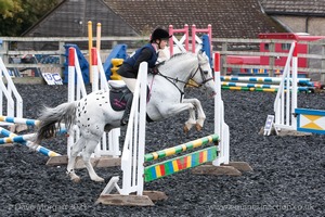 Class 2 -  Fences not above 2'